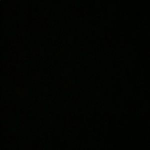 Meet your Posher, Calvin